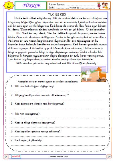 2. Sınıf Türkçe Okuma ve Anlama  Etkinliği ( Tilki ile Kedi )